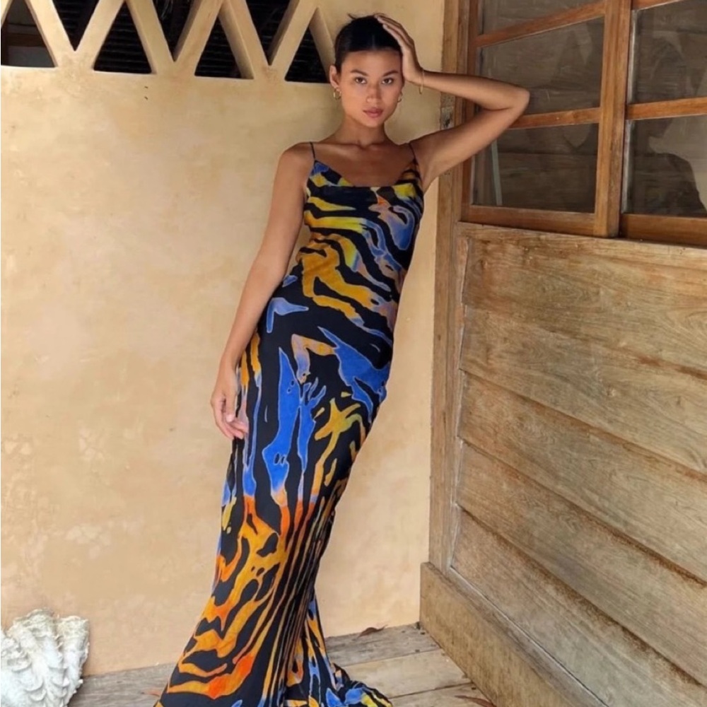 Rat & Boa Fabienne Silk Maxi Dress XS Multicolor Open Back